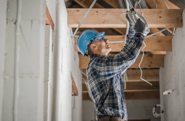 Best Electrical System Inspection  in Fannett, TX